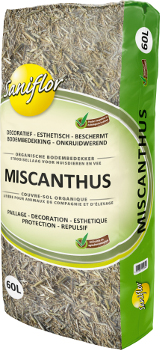Miscanthus 60L